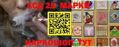 гашик Бийск