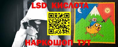 гашик Бийск