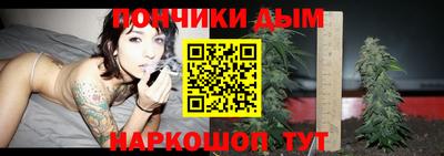гашик Бийск