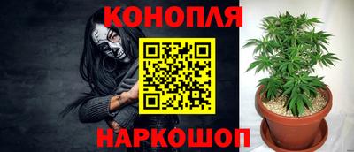 гашик Бийск
