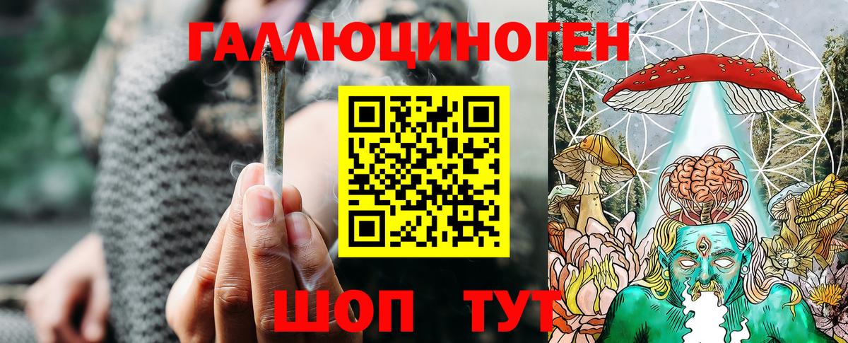 закладки  Галлюциногенные грибы Psilocybe  Вход с VPN  Гусев 